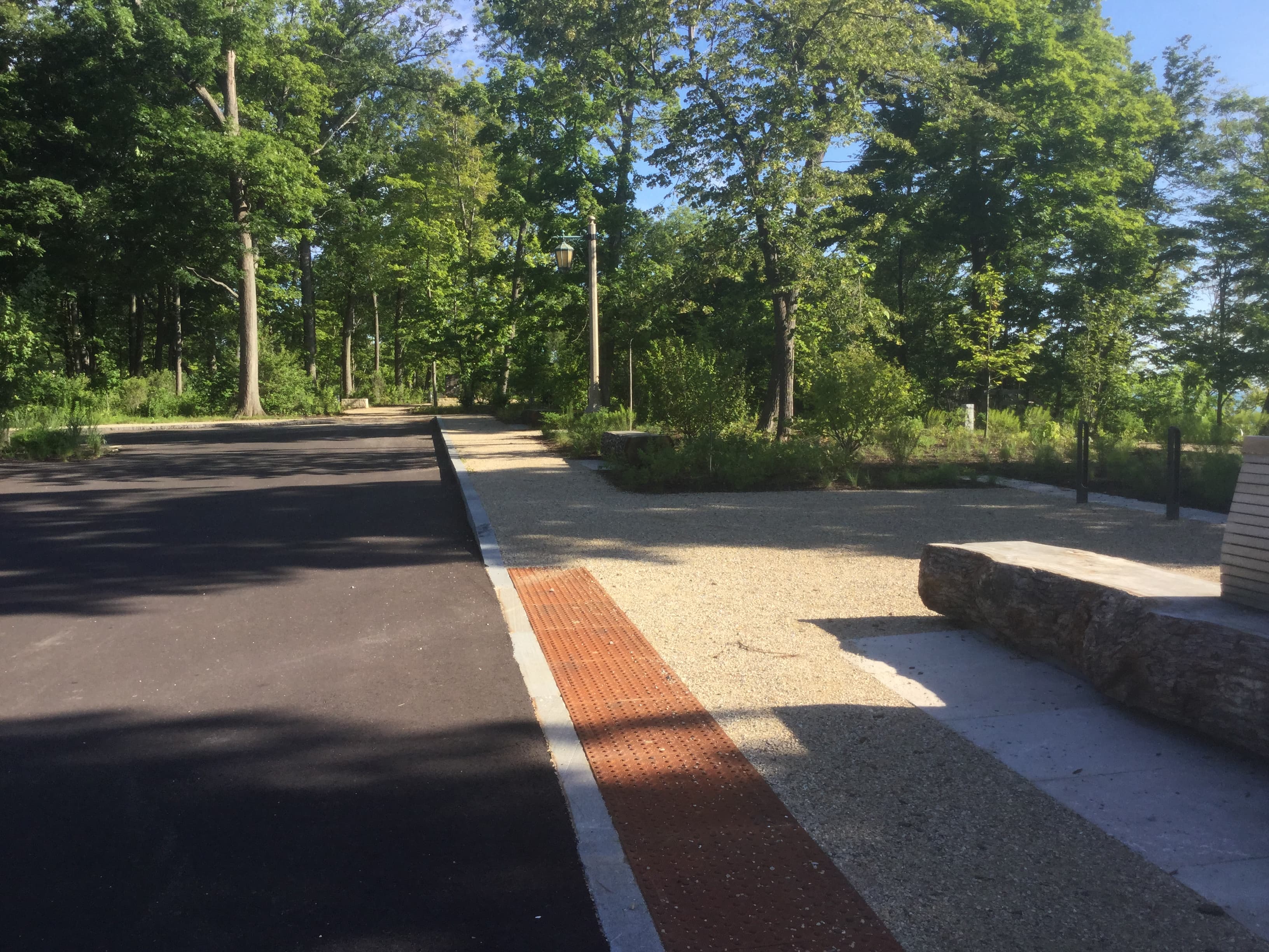 Forest Park Restoration - Image 3