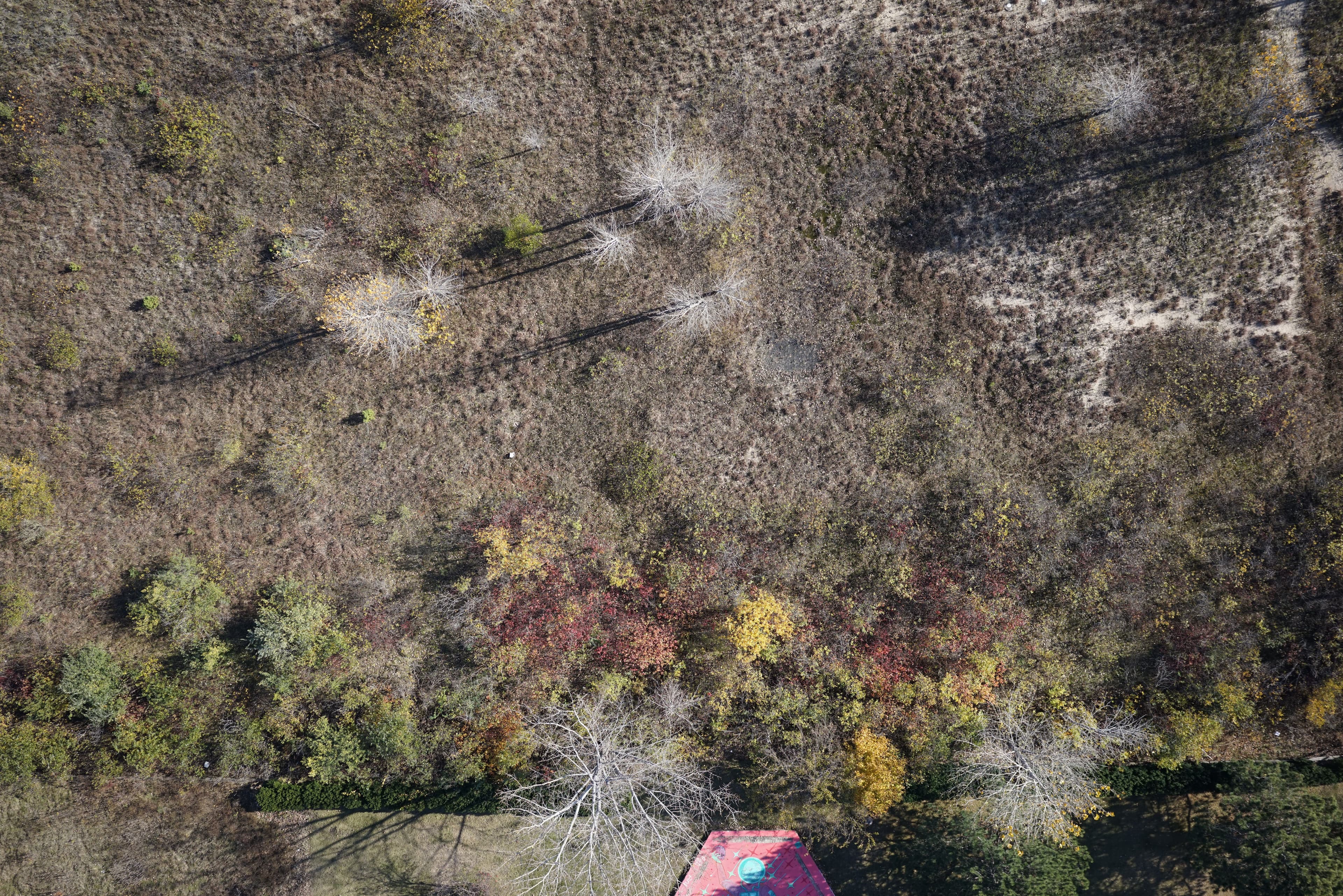 Waukegan Municipal Beach - Image 4